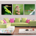 3 Panel Wall Art Oil Painting Dragonfly Painting Home Decoration Canvas Prints Pictures for Living Room Mc-260